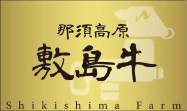 那須高原敷島牛