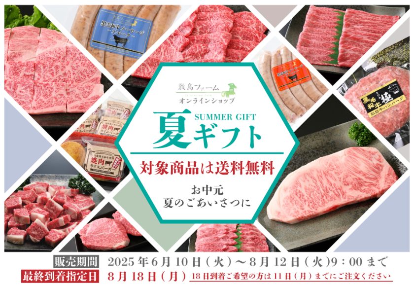 ★送料無料★2025年夏ギフト