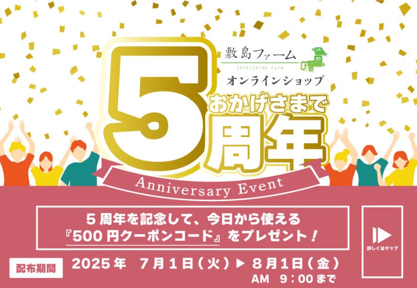 ５周年記念500円OFFクーポン