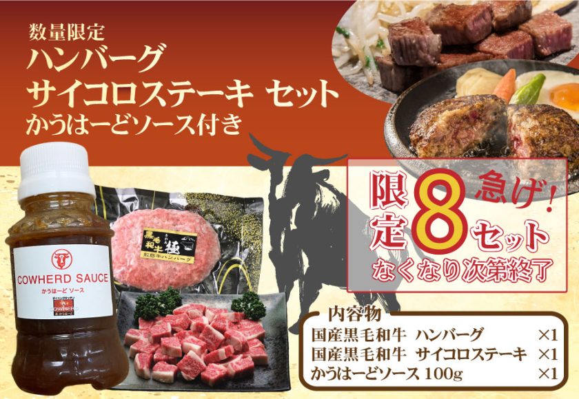★8セット限定★かうはーどソース付きハンバーグ・サイコロステーキセット