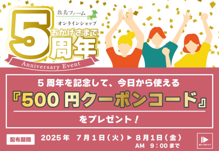 ５周年記念500円OFFクーポン